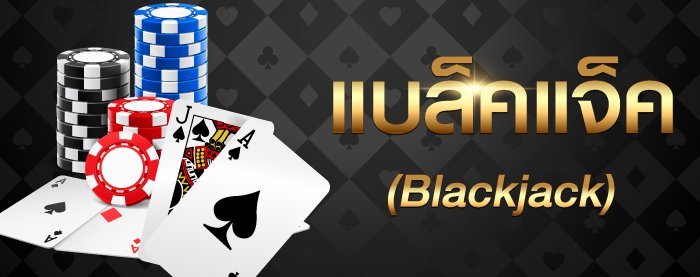 คู่มือแทงแบล็กแจ็ก Blackjack มีวิธีการเดิมพันยังไง เรามีคำตอบ